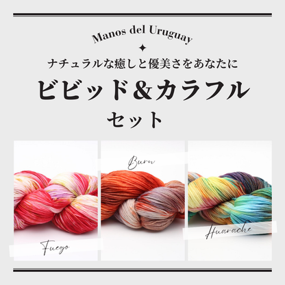 【数量限定商品】Manos del Uruguay：マノス デル ウルグアイ アレグリア【ビビッド＆カラフルセット】